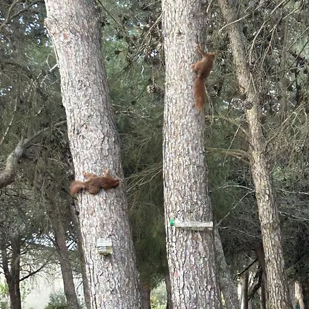 Charmante Climatisee Avec Piscine Et Parking Au Calme - Fr-1-607-158 Апартаменти