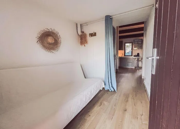 Charmante Climatisée Avec Piscine, Parking Privé Et Proche Plage, Idéale Pour Au Calme - Fr-1-607-158 Agde