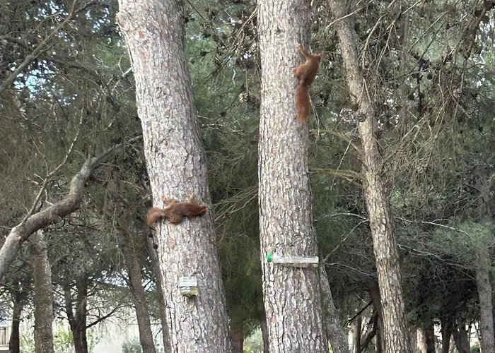 Charmante Climatisée Avec Piscine, Parking Privé Et Proche Plage, Idéale Pour Au Calme - Fr-1-607-158 Appartamento
